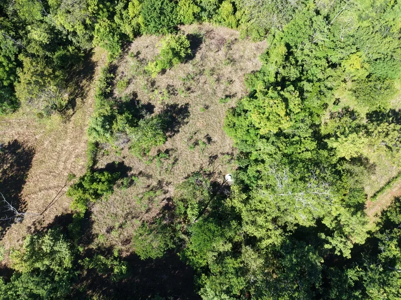 Land For Sale in Delicias, photo 3