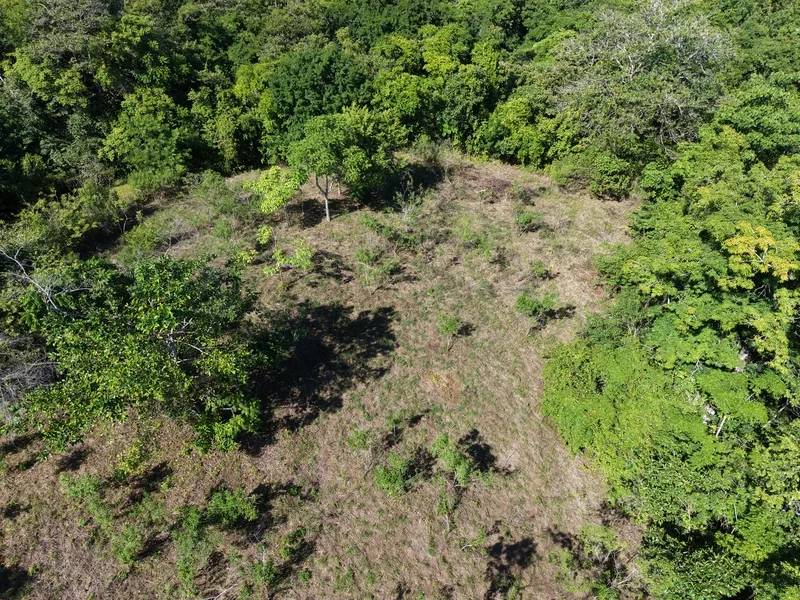 Land For Sale in Delicias, photo 4
