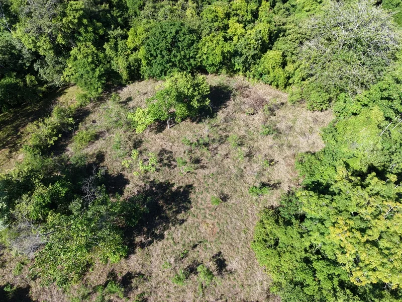 Land For Sale in Delicias, photo 5