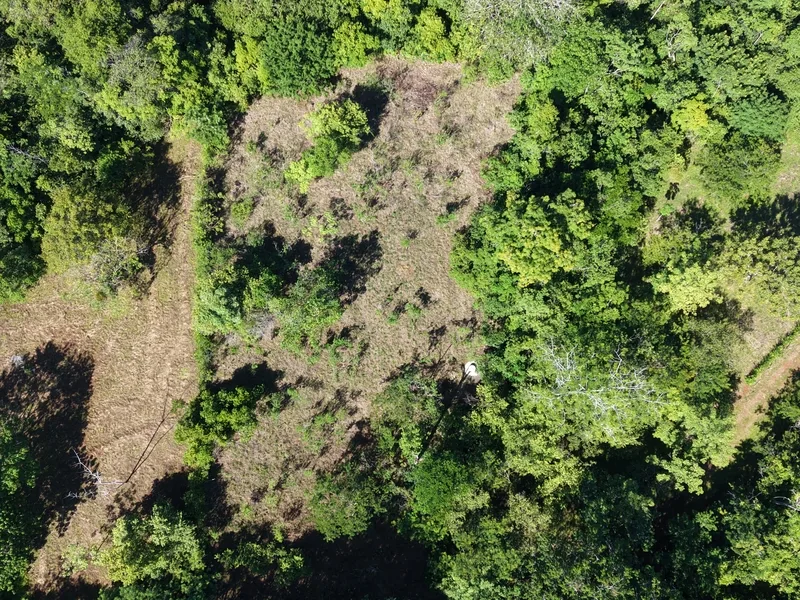 Land For Sale in Delicias, photo 6