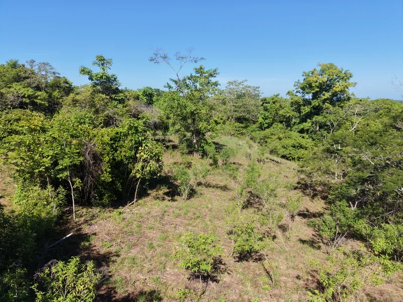 Land For Sale in Delicias, photo 7