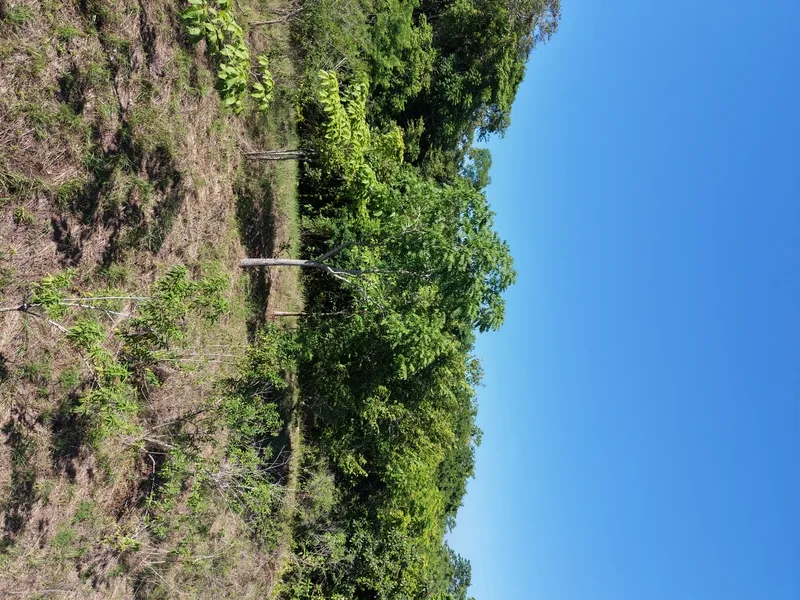 Land For Sale in Delicias, photo 8