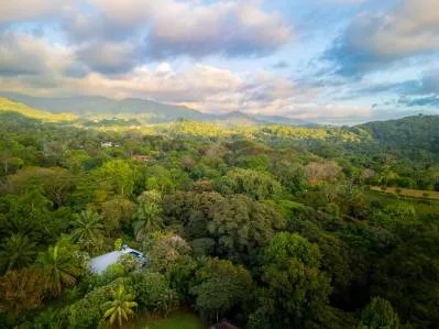 CASA SIRENA PROPERTY WITH TWO BEDROOM IN THE MIDDLE IN THE NATURE, IN OJOCHAL – 1.3 ACRES, photo 26