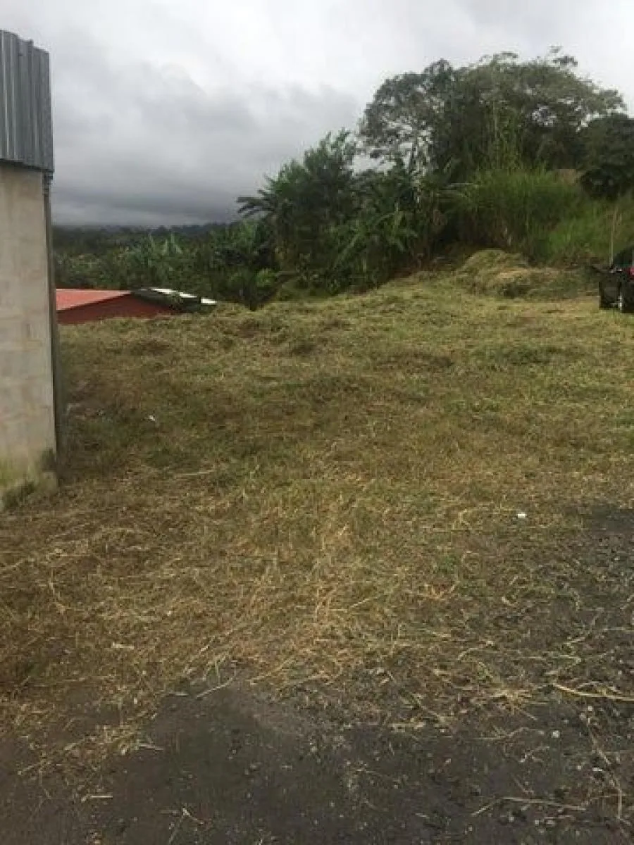 Venta de Lote en Poás, Alajuela. - Venta en Poás