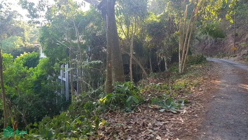 Lote para Construir en Manuel Antonio, Rodeado de Naturaleza, photo 2
