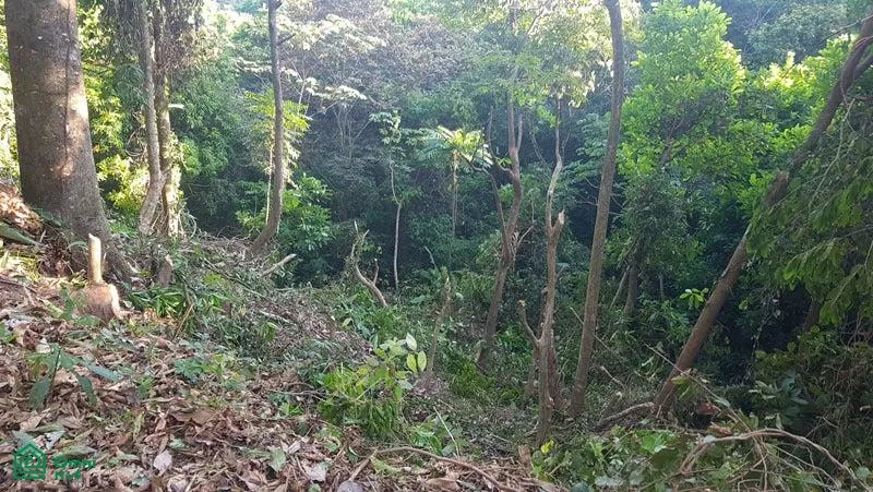 Lote para Construir en Manuel Antonio, Rodeado de Naturaleza, photo 3