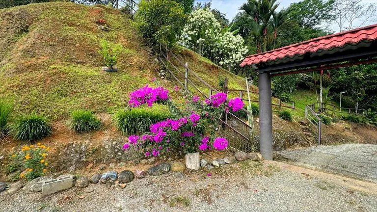 House in Centro de Pérez Zeledón