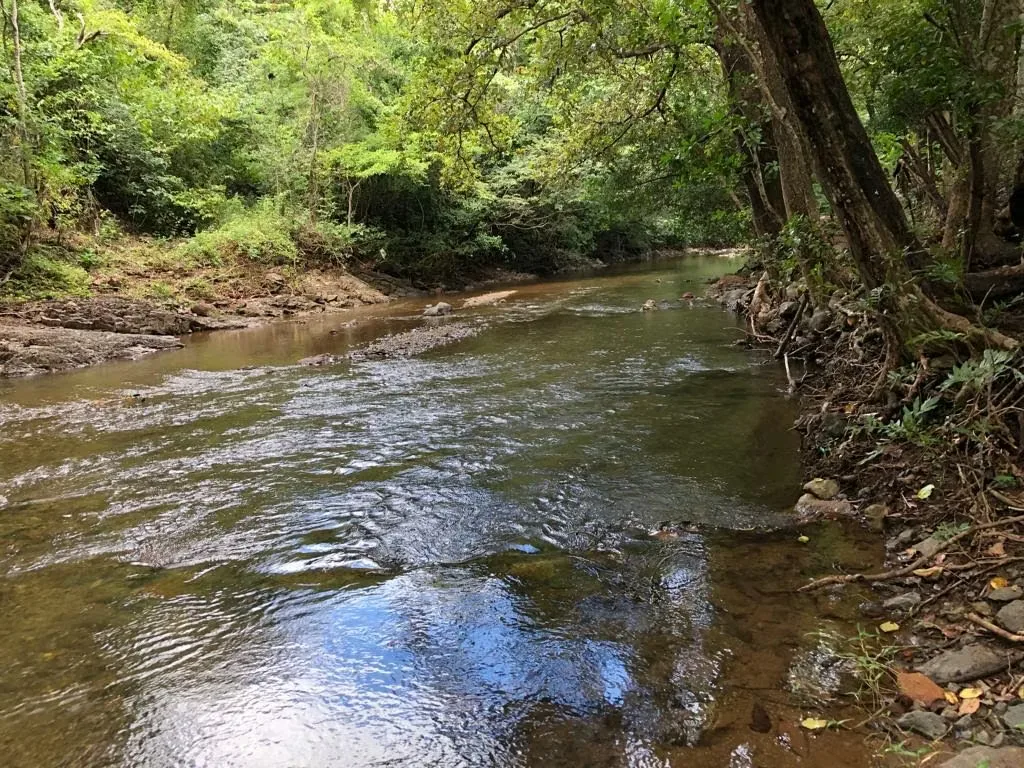 Location: Santa Cruz, Guanacaste, District 7-Diriá. Coming to Santa Cruz in Barrio San Juan de Diriá (after Nambí de Nicoya, but before Chumico de Santa Cruz), photo 12