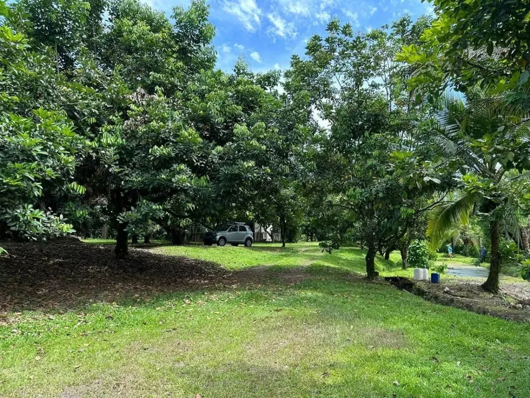 FOR SALE: BEAUTIFUL STATE IN HORQUETAS DE SARAPIQUÍ, COSTA RICA, photo 12
