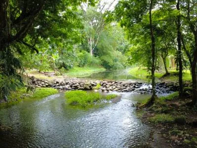 Venta de finca en Horquetas de Sarapiquí