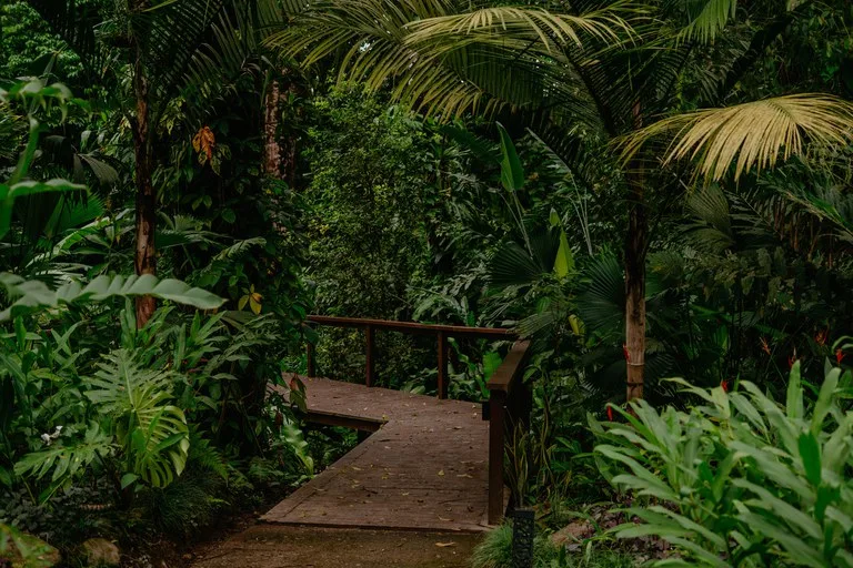 Jungle River Resort: Boutique Jungle River Resort with Pool, Restaurant & Cabinas in Ojochal, photo 13