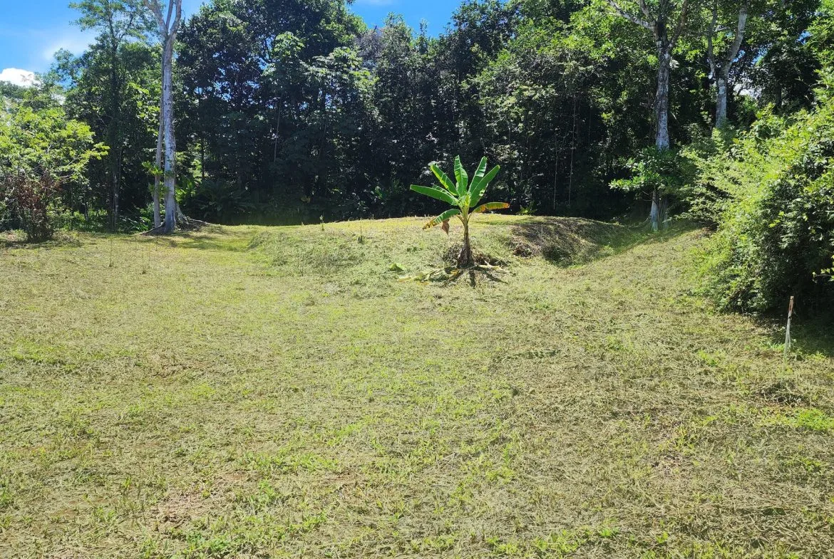 BUILDING PROPERTY WITH BEACH VIEWS IN LA COLONIA – 1.25 ACRES, photo 2