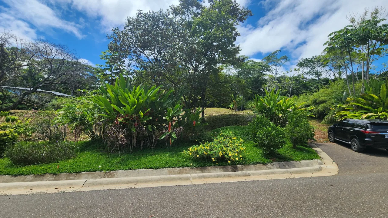 BUILDING PROPERTY WITH BEACH VIEWS IN LA COLONIA – 1.25 ACRES, photo 5