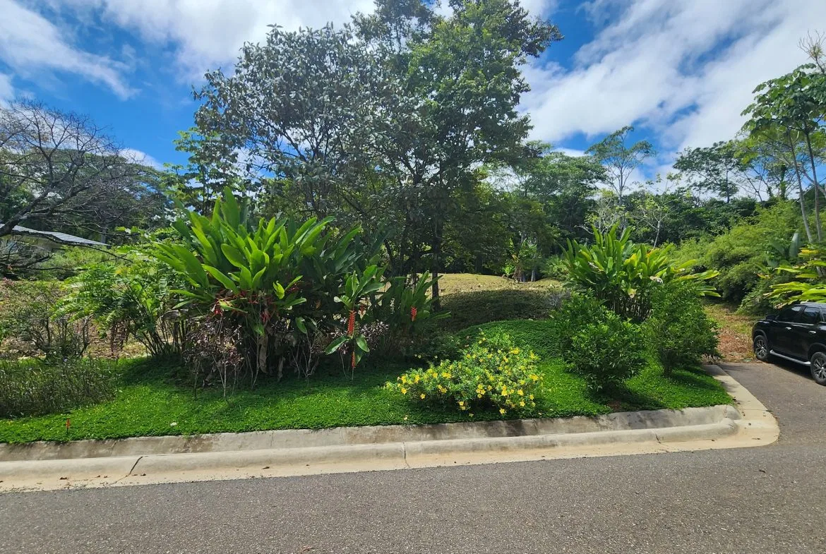BUILDING PROPERTY WITH BEACH VIEWS IN LA COLONIA – 1.25 ACRES, photo 6