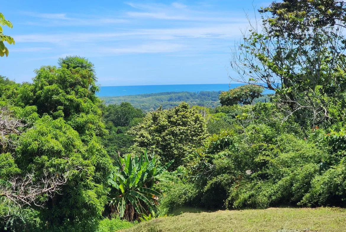 BUILDING PROPERTY WITH BEACH VIEWS IN LA COLONIA – 1.25 ACRES, photo 8