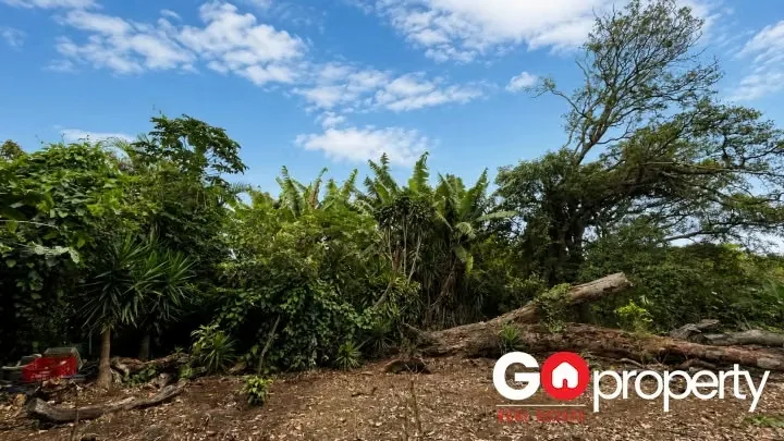 Propiedad de Alta Densidad para Desarrollo Residencial en Venta, photo 2