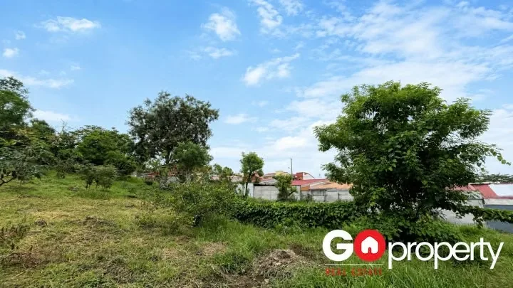 Propiedad de Alta Densidad para Desarrollo Residencial en Venta, photo 4