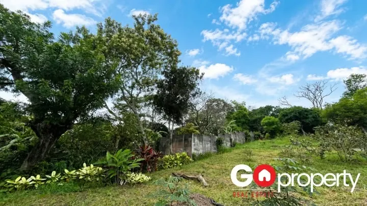 Propiedad de Alta Densidad para Desarrollo Residencial en Venta, photo 6