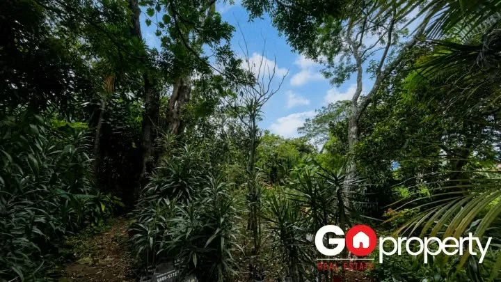 Propiedad de Alta Densidad para Desarrollo Residencial en Venta, photo 7