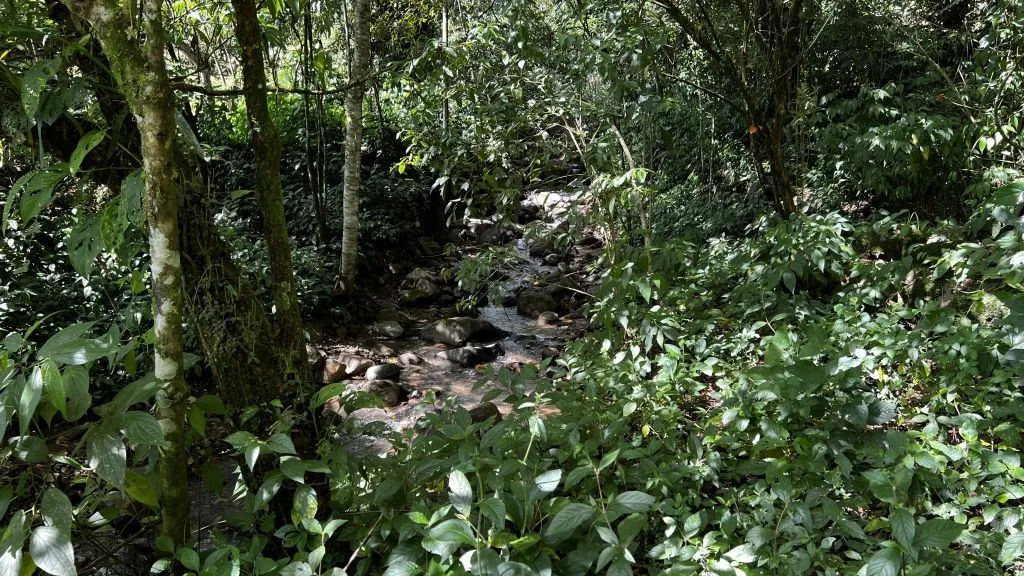 Development Land for Sale in Chimirol de Rivas: 58-Acre Mountain and Riverfront Estate on Chirripo River, photo 11