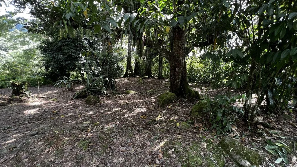 Development Land for Sale in Chimirol de Rivas: 58-Acre Mountain and Riverfront Estate on Chirripo River, photo 12