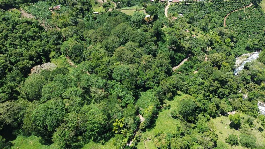 Development Land for Sale in Chimirol de Rivas: 58-Acre Mountain and Riverfront Estate on Chirripo River, photo 14