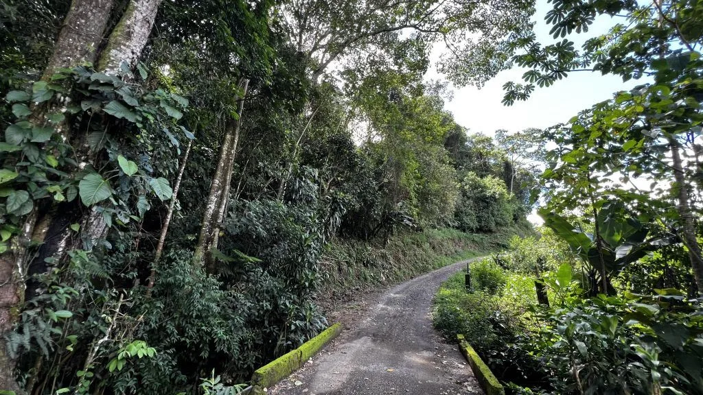 Development Land for Sale in Chimirol de Rivas: 58-Acre Mountain and Riverfront Estate on Chirripo River, photo 3