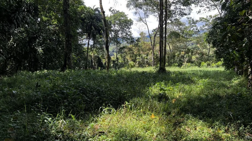 Development Land for Sale in Chimirol de Rivas: 58-Acre Mountain and Riverfront Estate on Chirripo River, photo 4