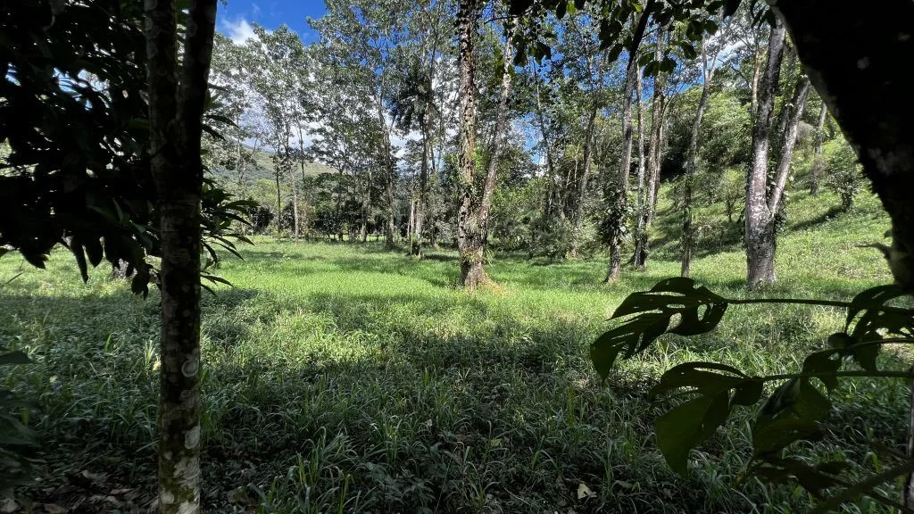 Development Land for Sale in Chimirol de Rivas: 58-Acre Mountain and Riverfront Estate on Chirripo River, photo 5