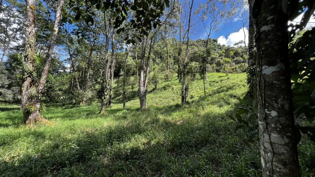 Development Land for Sale in Chimirol de Rivas: 58-Acre Mountain and Riverfront Estate on Chirripo River, photo 6