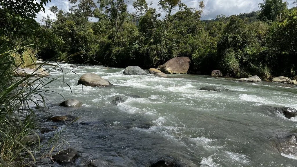 Development Land for Sale in Chimirol de Rivas: 58-Acre Mountain and Riverfront Estate on Chirripo River, photo 8