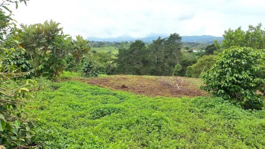 venta de lote en san jose  - Venta en Goicoechea, photo 5