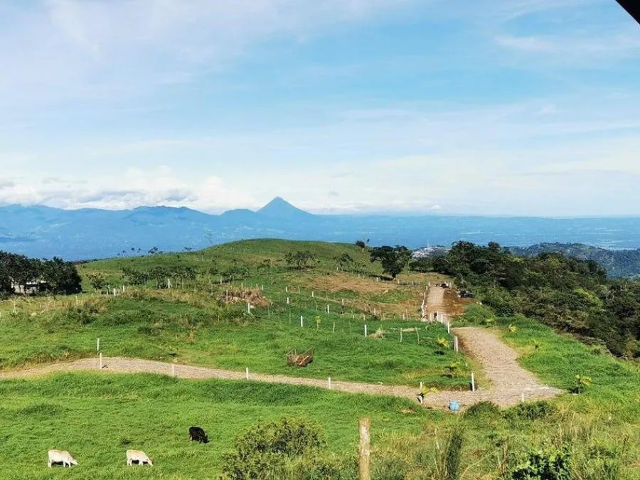 venta de lote en san jose  - Venta en Goicoechea, photo 6