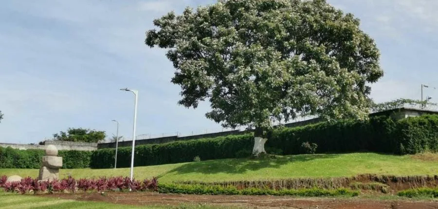 venta de lote en san jose  - Venta en Goicoechea, photo 9