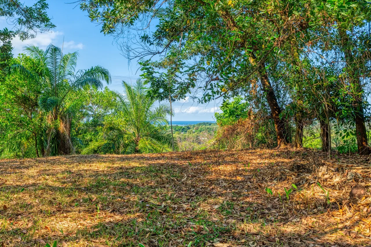 BUILDING PROPERTY A STEPS OF BAHIA CENTER, IN BAHIA BALLENA – 5.65 ACRES