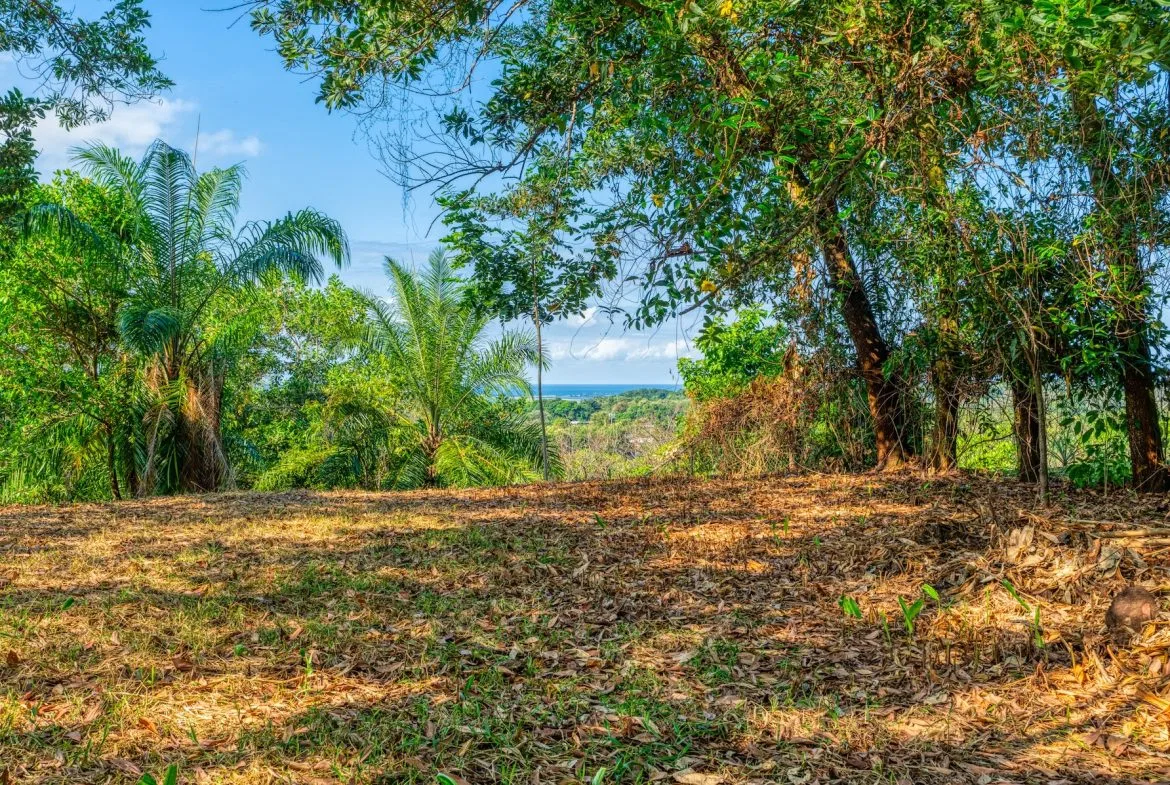 BUILDING PROPERTY A STEPS OF BAHIA CENTER, IN BAHIA BALLENA – 5.65 ACRES, photo 2