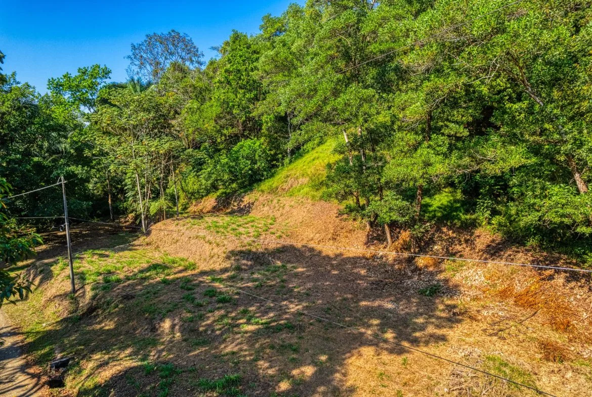BUILDING PROPERTY A STEPS OF BAHIA CENTER, IN BAHIA BALLENA – 5.65 ACRES, photo 12