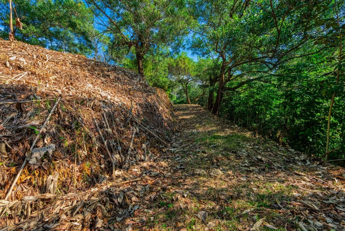 BUILDING PROPERTY A STEPS OF BAHIA CENTER, IN BAHIA BALLENA – 5.65 ACRES, photo 14