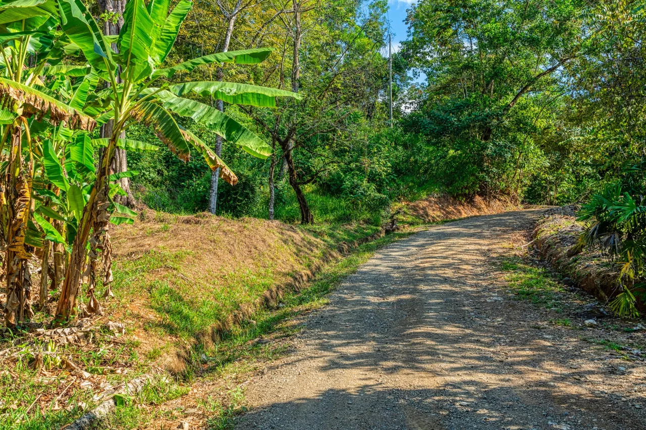 BUILDING PROPERTY A STEPS OF BAHIA CENTER, IN BAHIA BALLENA – 5.65 ACRES, photo 15