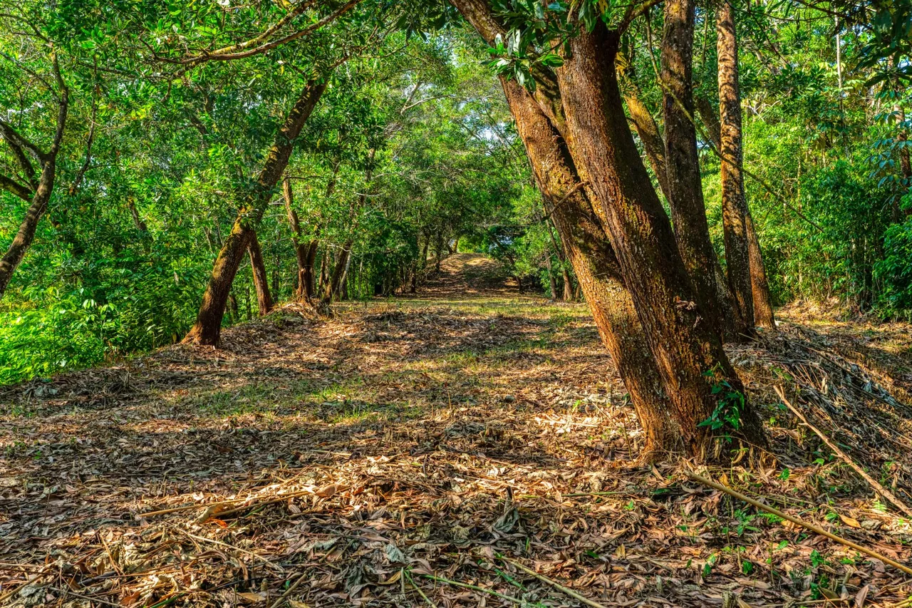 BUILDING PROPERTY A STEPS OF BAHIA CENTER, IN BAHIA BALLENA – 5.65 ACRES, photo 19