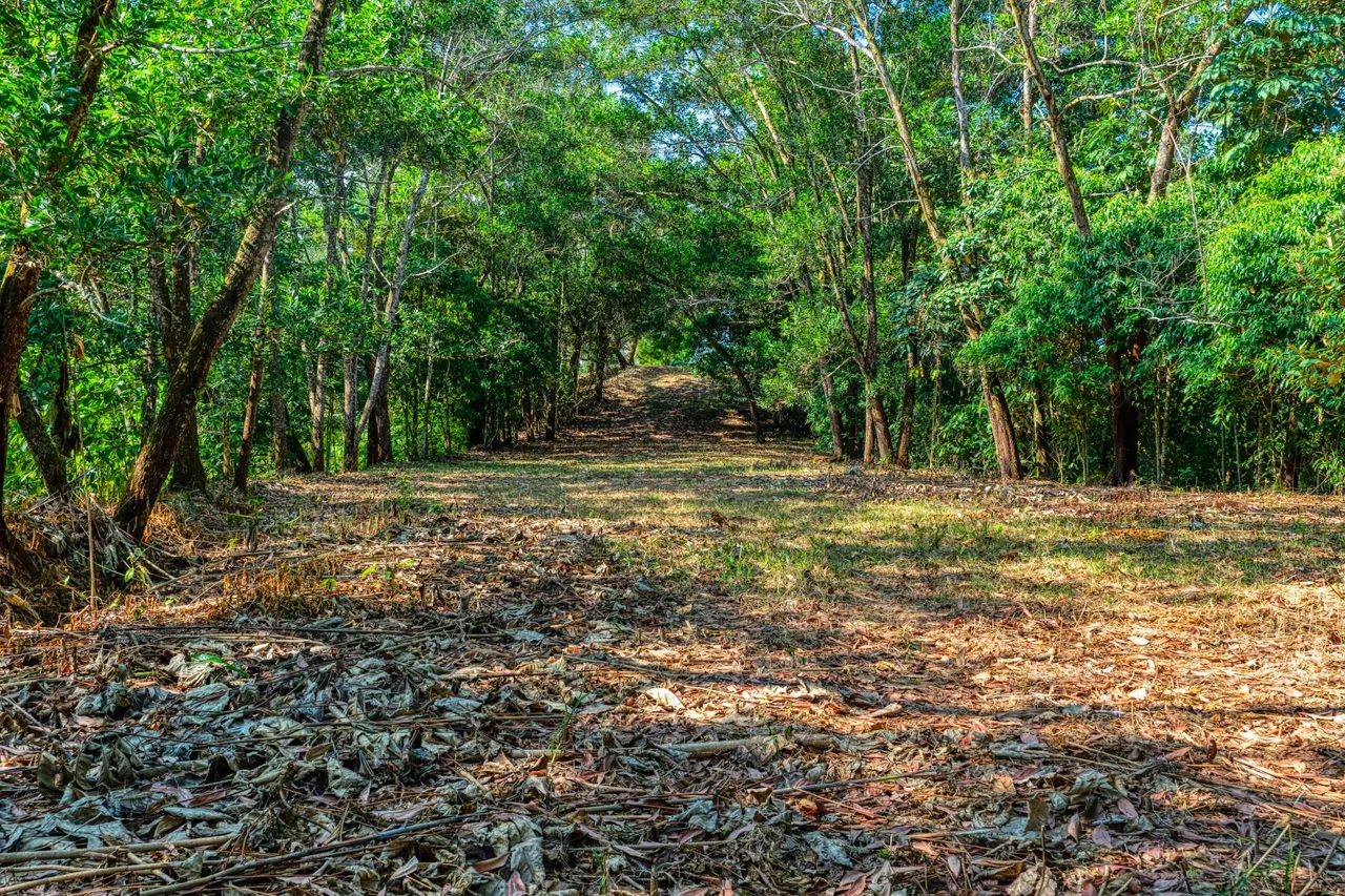 BUILDING PROPERTY A STEPS OF BAHIA CENTER, IN BAHIA BALLENA – 5.65 ACRES, photo 23