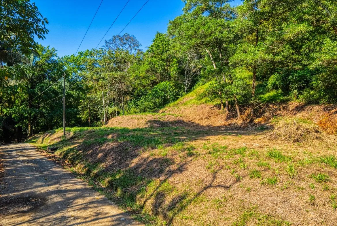 BUILDING PROPERTY A STEPS OF BAHIA CENTER, IN BAHIA BALLENA – 5.65 ACRES, photo 8