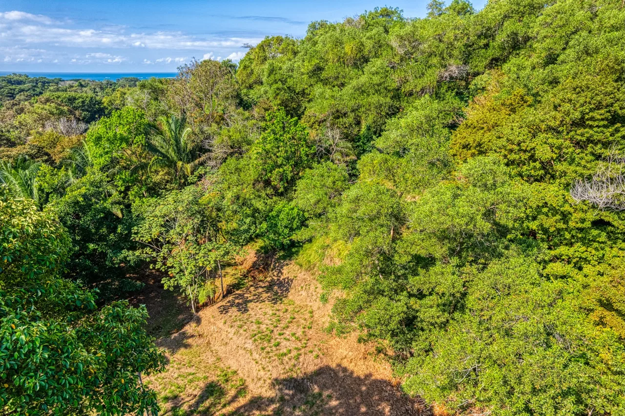 BUILDING PROPERTY A STEPS OF BAHIA CENTER, IN BAHIA BALLENA – 5.65 ACRES, photo 9