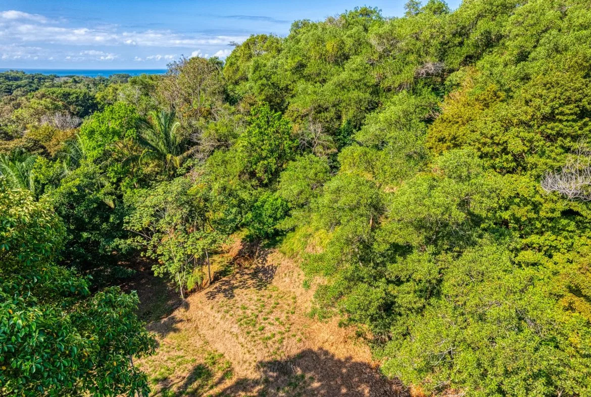 BUILDING PROPERTY A STEPS OF BAHIA CENTER, IN BAHIA BALLENA – 5.65 ACRES, photo 10