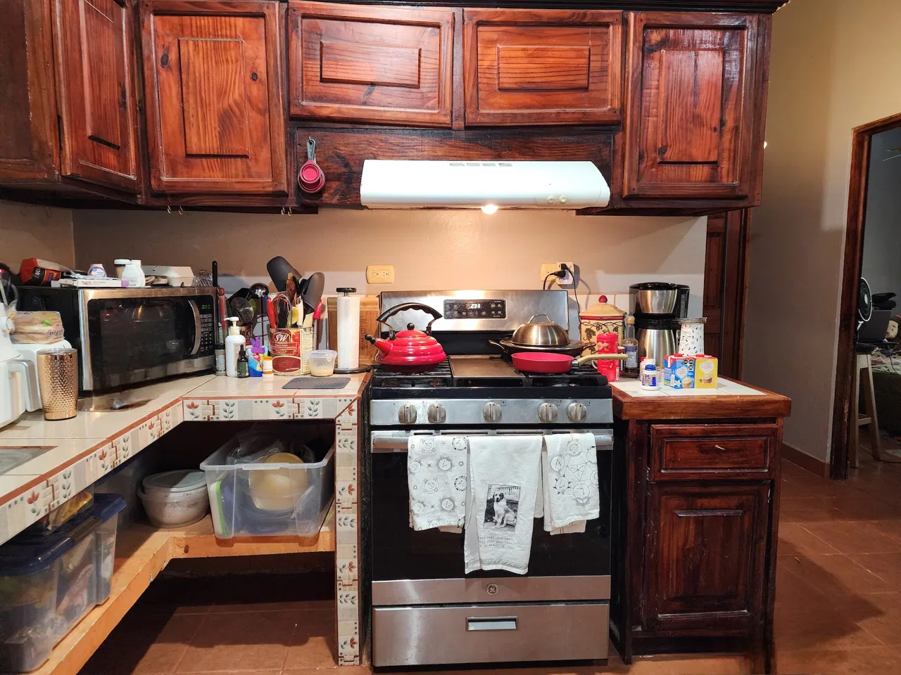 PROPERTY WITH TWO BEDROOMS NEAR TO THE NAUYACA WATERFALLS – 9.12 ACRES, photo 15