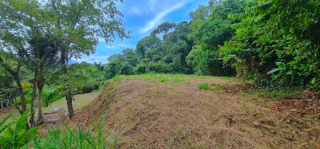 OCEAN VIEW LOT NEAR DOMINICAL AND UVITA – 2.22 ACRES, photo 3