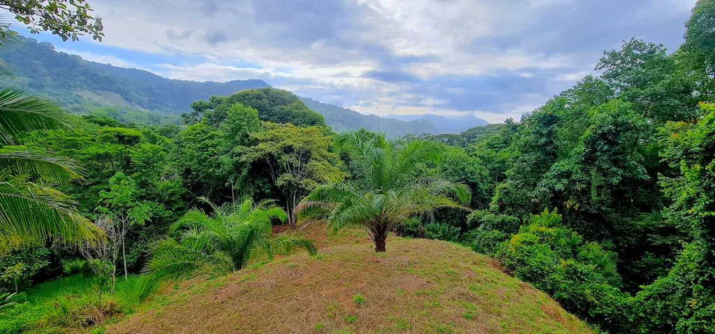 OCEAN VIEW LOT NEAR DOMINICAL AND UVITA – 2.22 ACRES, photo 6