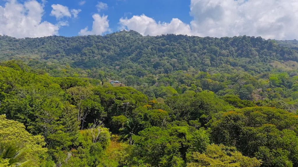 OCEAN VIEW LOT NEAR DOMINICAL AND UVITA – 2.22 ACRES, photo 7