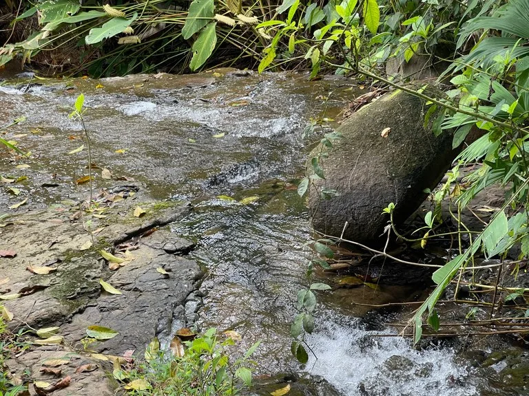 Just Over 3 Acres Riverfront Land in Platanillo Above Dominical, photo 11