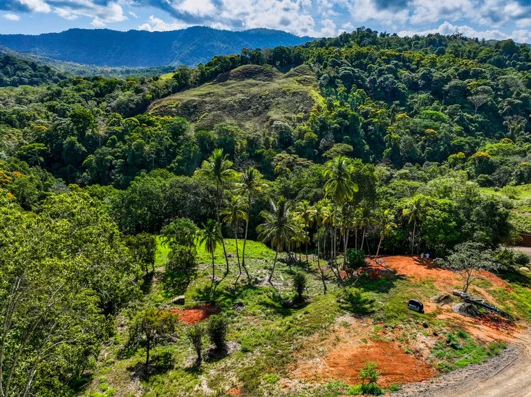 Just Over 3 Acres Riverfront Land in Platanillo Above Dominical, photo 5